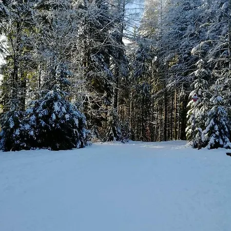 Rodinny 606 * Harrachov