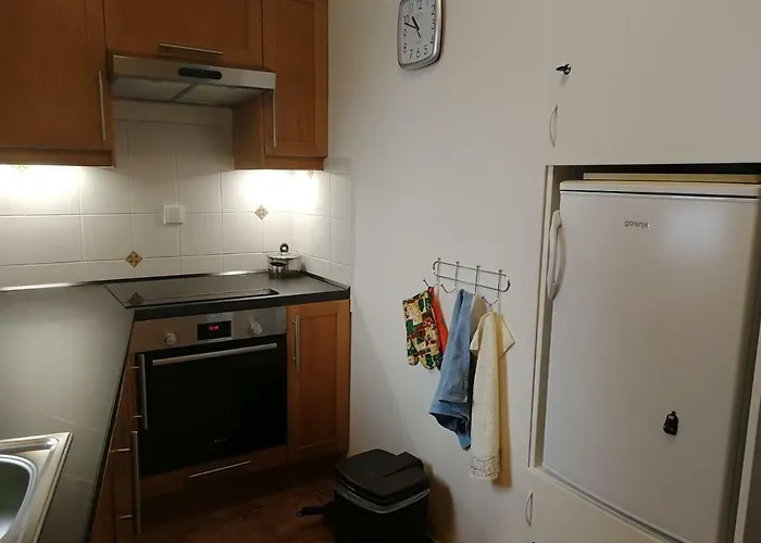 Apartamento Rodinny 606