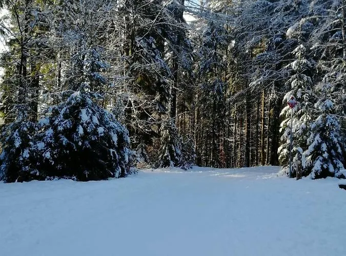 Rodinny 606 * Harrachov